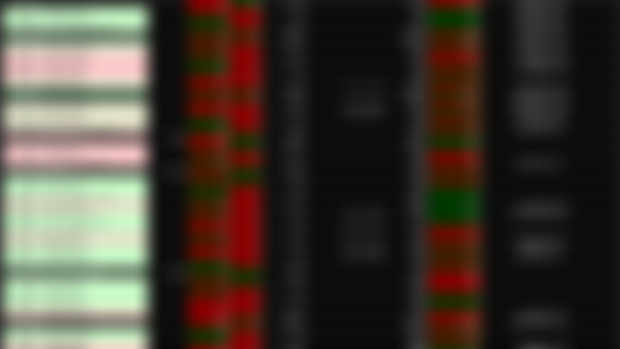 Current Option Portfolio Snapshot - 1/31/2025