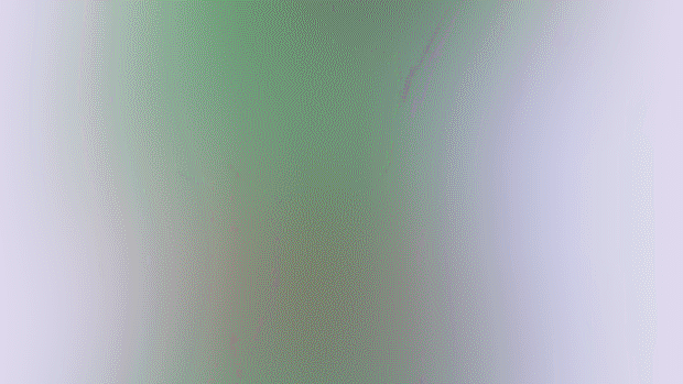 Futo -> Hojo animated loop