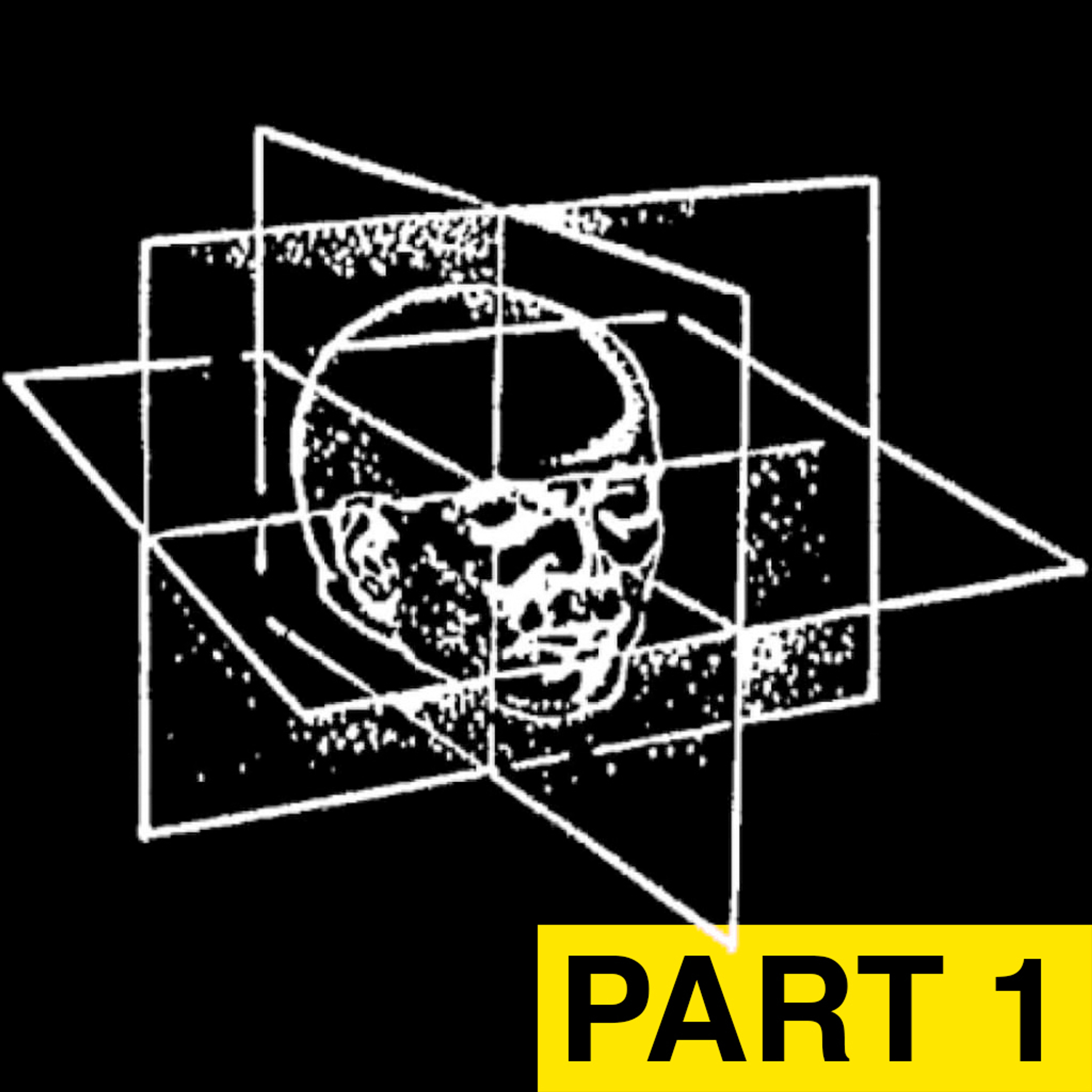 Doomscroll with Joshua Citarella