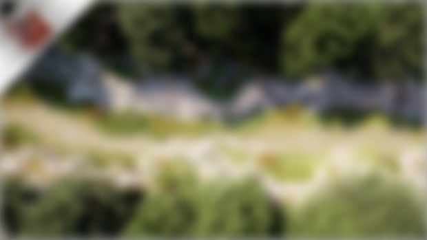 Forest 2 | Tier D8
