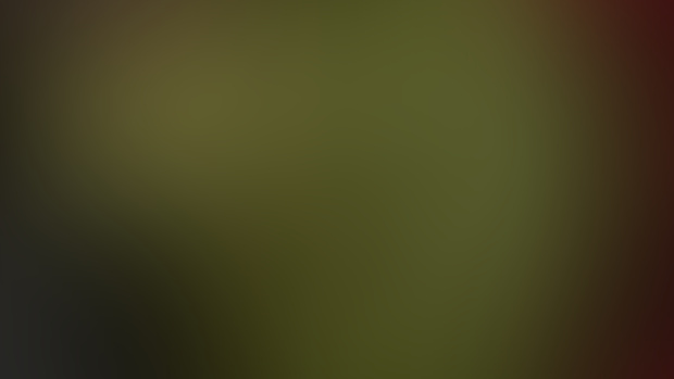 November 2024 HD Files