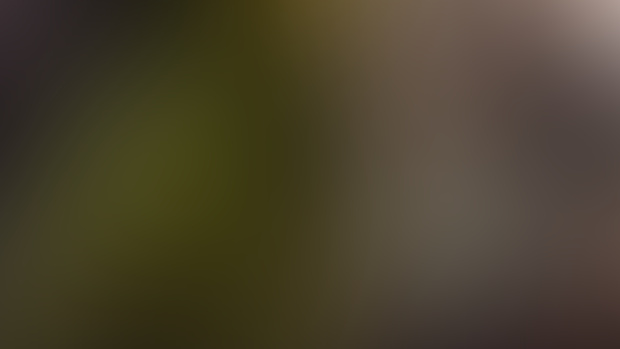 December 2024 HD Files