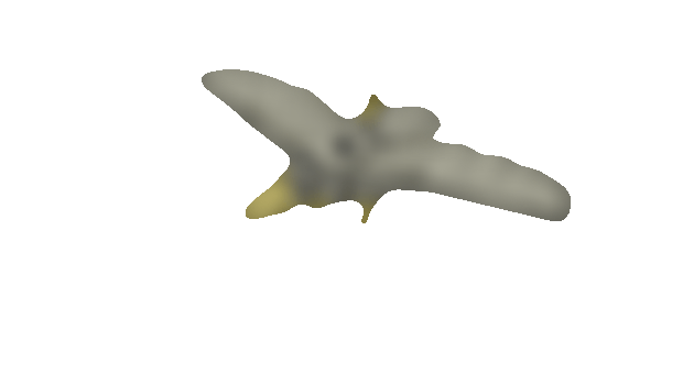 Giant drill beak bird (rinnegan summon)