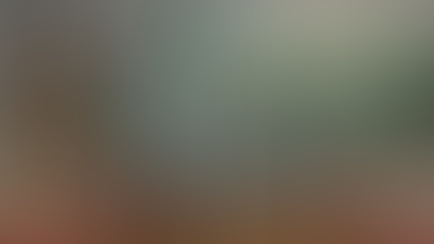 Miku Live nude and preview