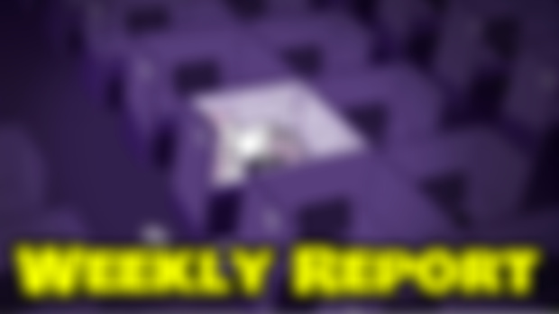 Weekly report Jan 4/4, 2025