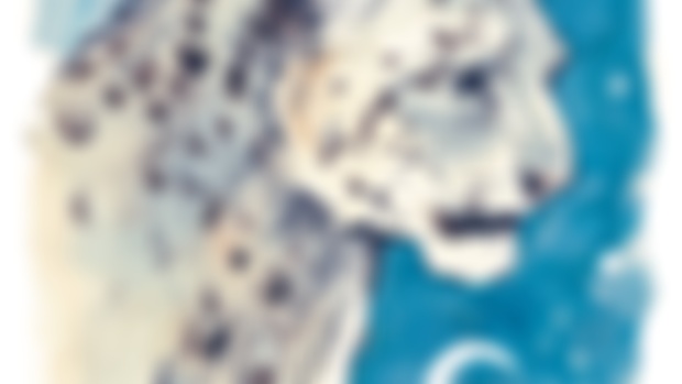 February’s snow leopard postcard design