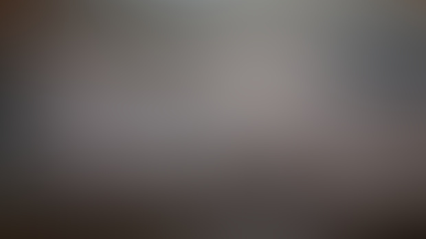 February wallpapers!
