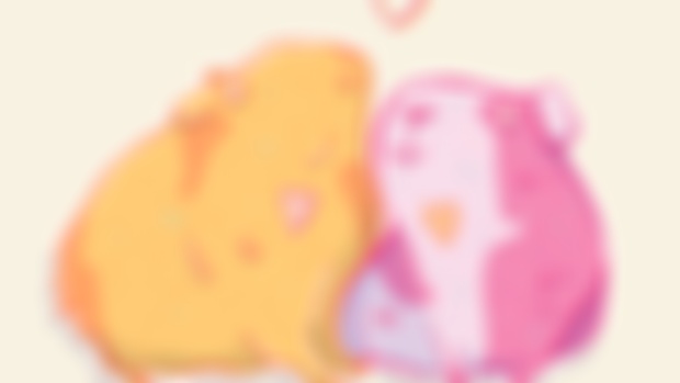 💖February zoom - Animals in love 💖