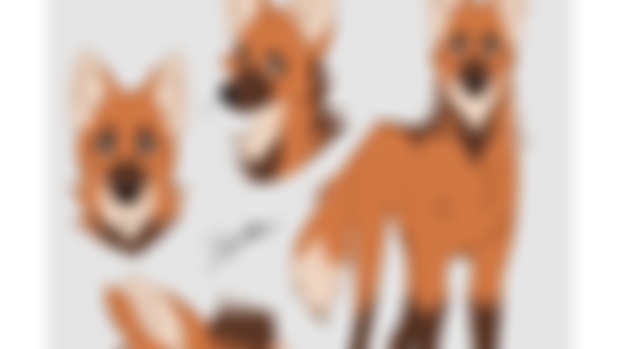Maned Wolf