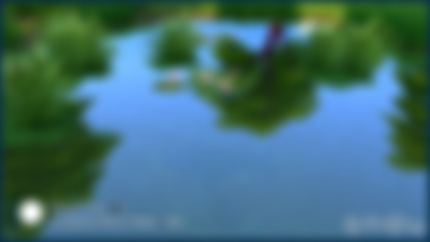 Sneak Peek Images - Transparent Mirror Pool Water