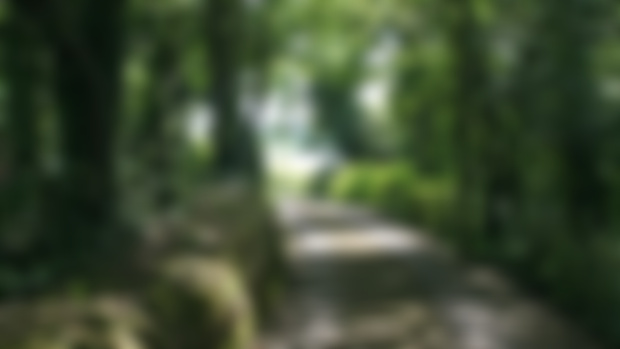 What Paintings am I Working on This Month?