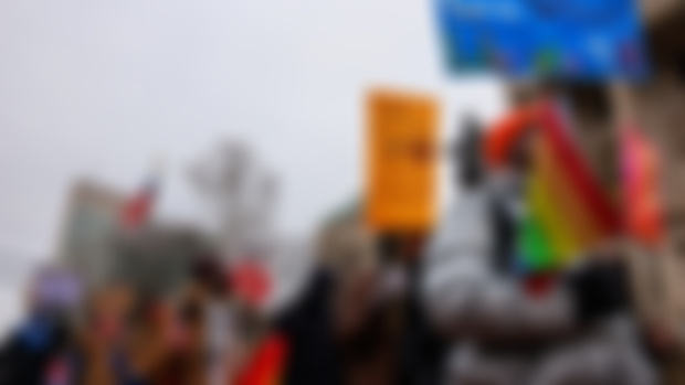 Gallery: Protesters March at Indiana Statehouse Against Trump, Musk, DOGE and Project 2025 Policies