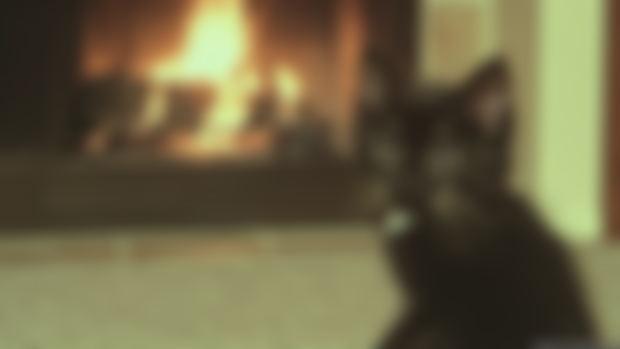 The Kitten - Audio Version