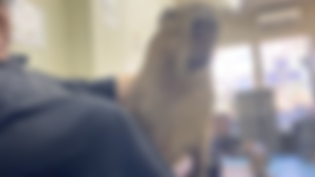 Wed, Feb 5, 2025