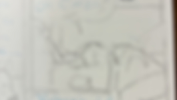 Panel sneak peek… Emotional support Ora Zella…