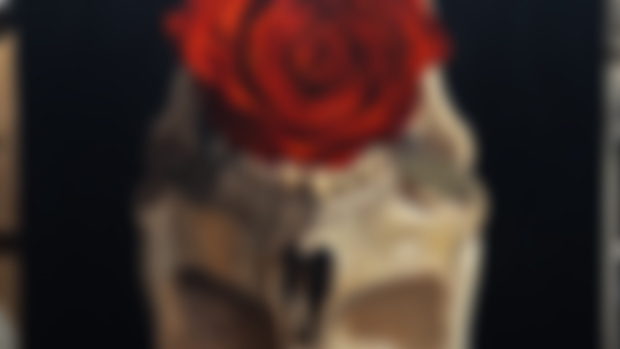 “Blood Rose 2” first pass WIP