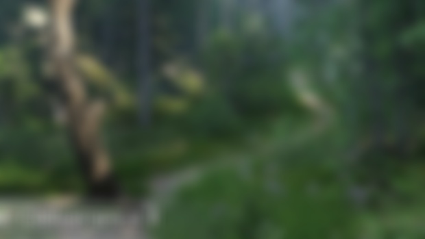 Kingdom Come: Deliverance II Photomode mod 1.0.2