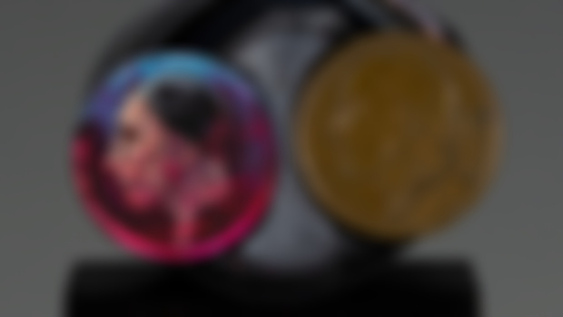 FIN: A painted coin