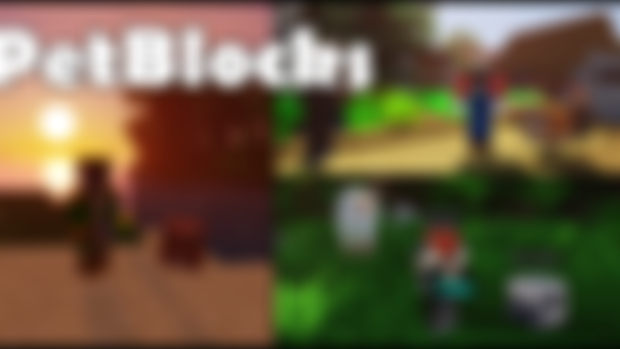 PetBlocks v9.20.0 (1.8.9 - 1.21.4)