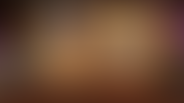 Progress Report - 02/10/2025