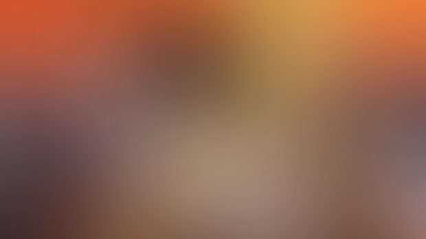 Wip February 2025 [10$]