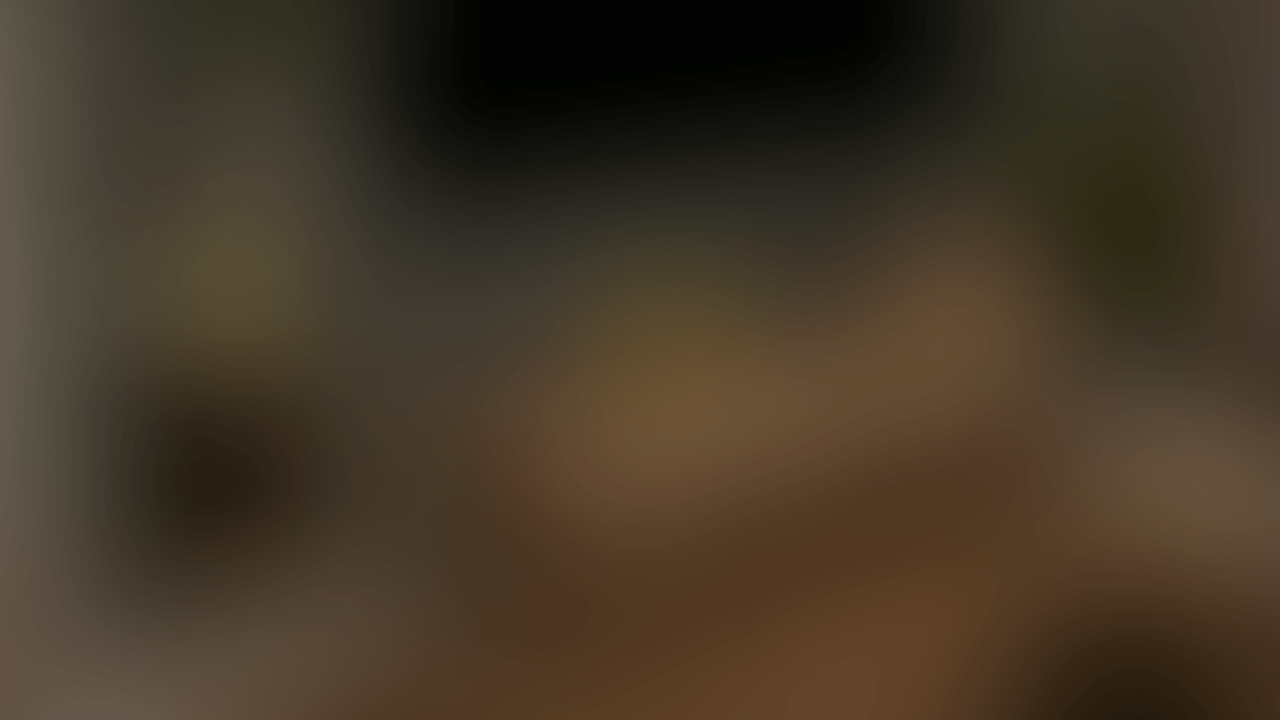 [Weekly Development Update #55]