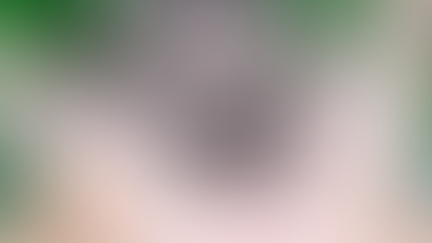 @1 【T2 /50p/4K 】  Garden / Echidna (Re:Zero) x Natsuki Subaru // エキドナ(リゼロ) x ナツキ・スバル