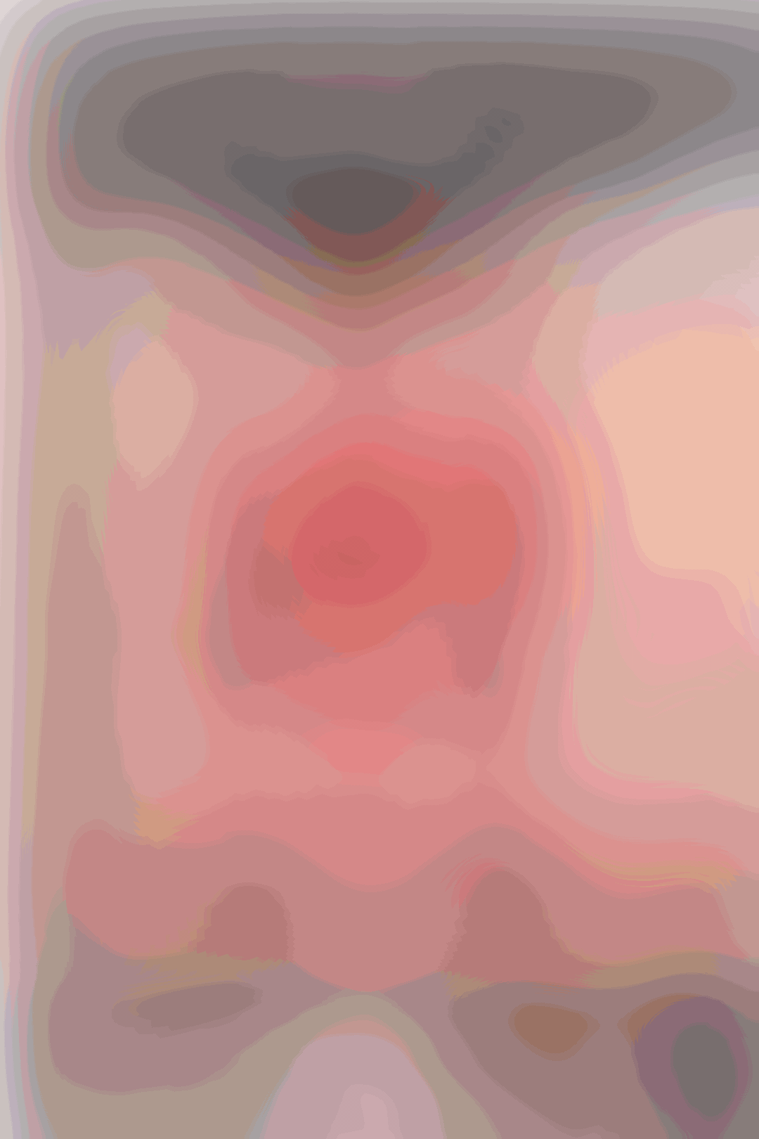鳥と神父 1.gif?token-hash=