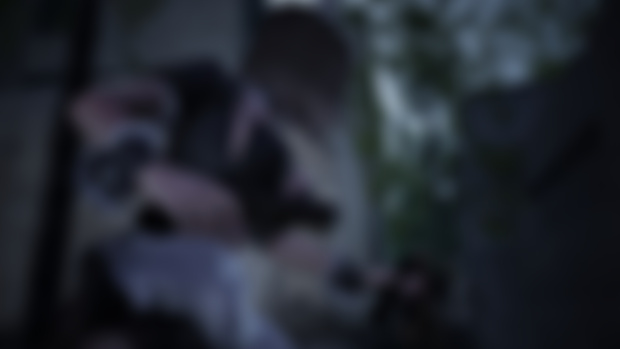 Exclusive Costume Pack: Maid