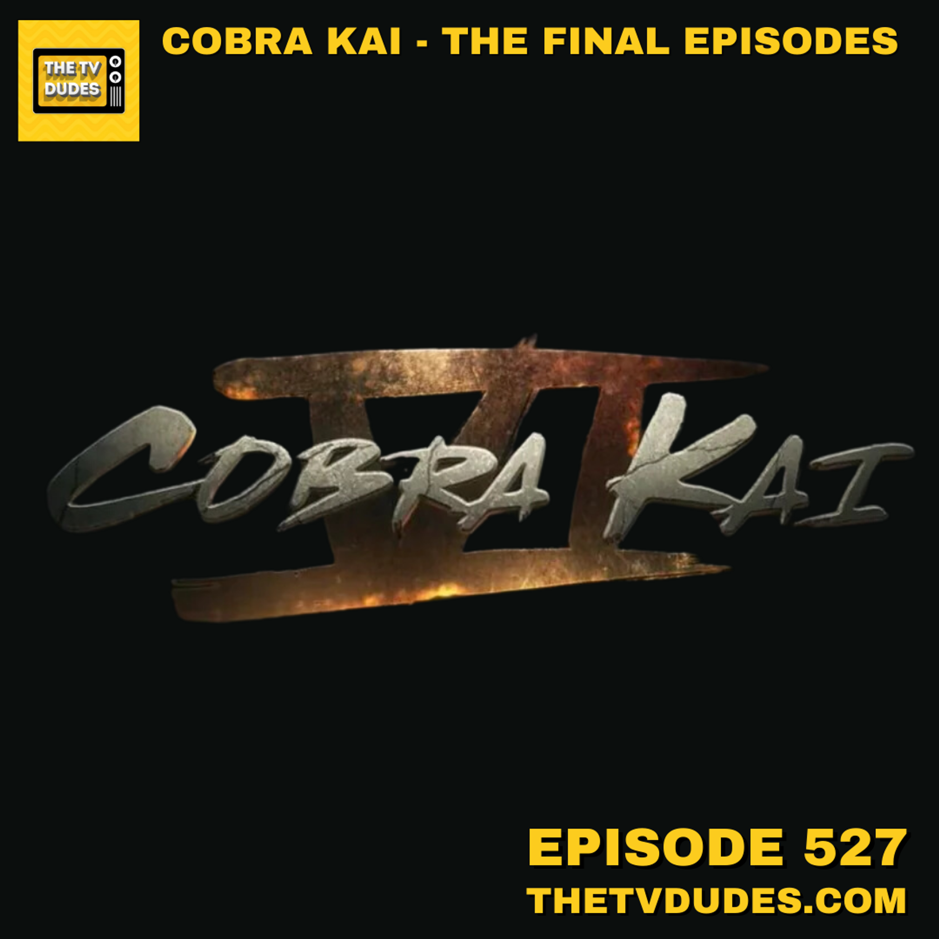Cobra Kai - The Final Episodes episode artwork
