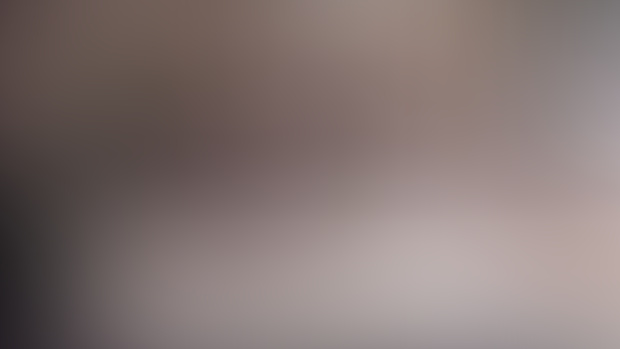February 2025 - Progress Update