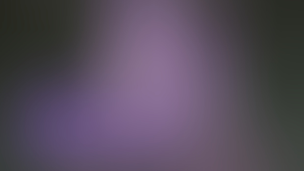 Stella the recluse :: full version