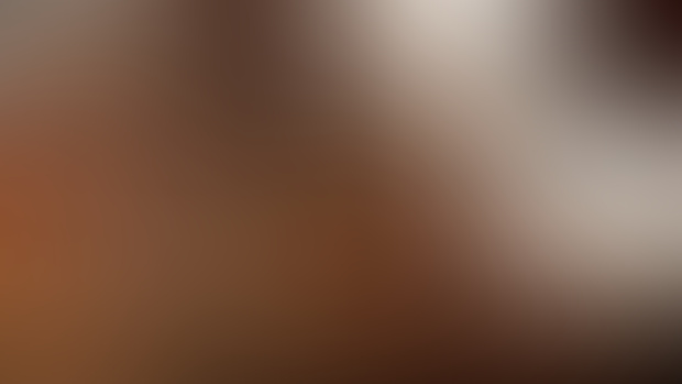 Update Preview / PnC - Part 2 