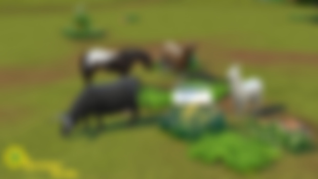 Llamas&Cow's Prairie Grass