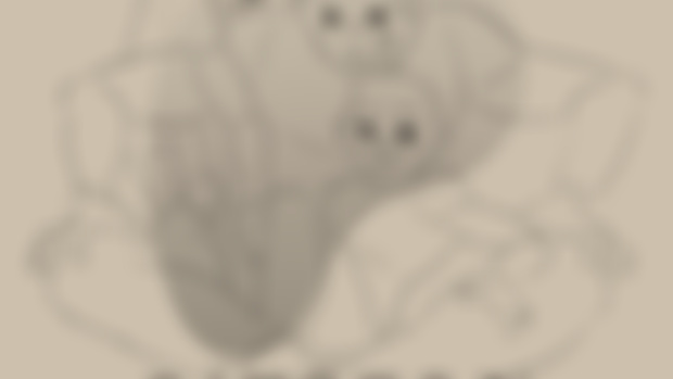 Pose references (patrons)