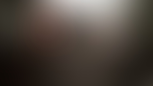 Preview of next animation
