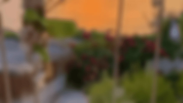 𝐒𝐮𝐫𝐩𝐫𝐢𝐬𝐞 𝐒𝐢𝐦 𝐔𝐩𝐝𝐚𝐭𝐞𝐬 🌱