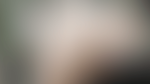 The last small part of Valmiel x Werewolf Animation 1080P