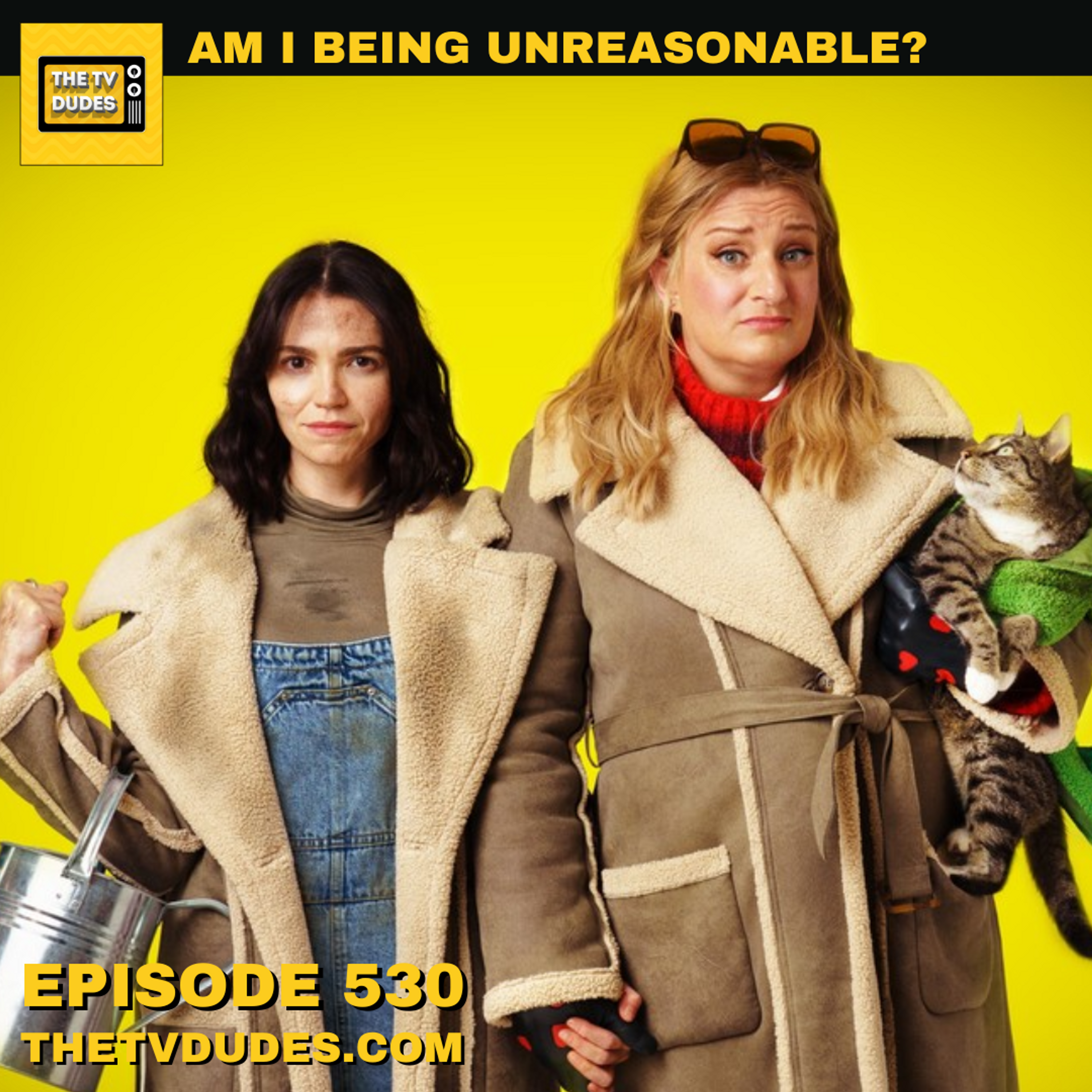 Am I Being Unreasonable? episode artwork