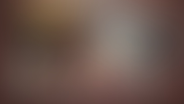 Roadmap v0.14-v0.17 Hazelnut Latte
