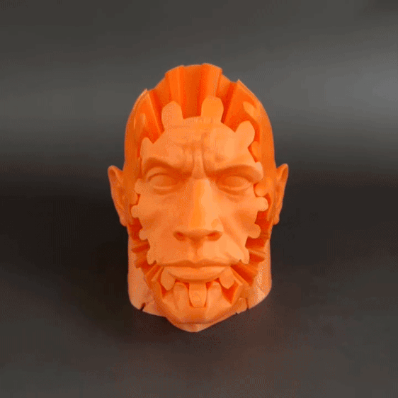 The Rock Gear Fidget Toy