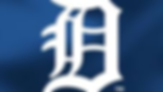 Join me at a TIGERS Game!