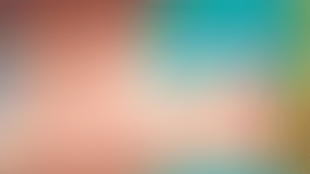 ANIMATION ARTWORK - BULMA VS VEGETA