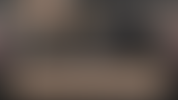 OL2: Home Screenshots (Step 1 DLC)