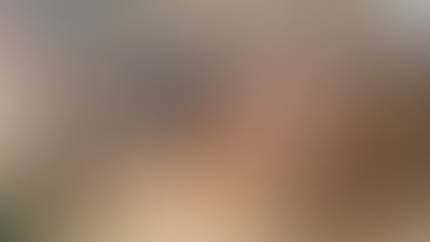 [News] Dev's blog #104