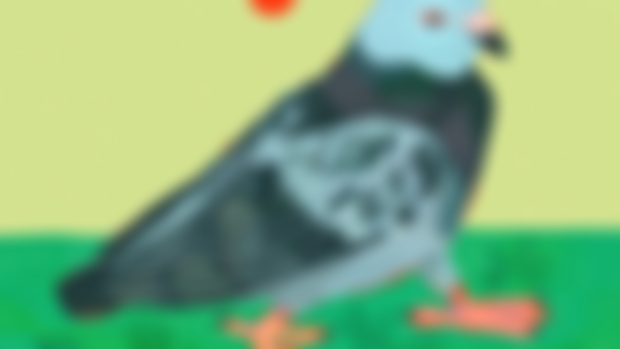here's a digi drawing of a pigeon for you to see