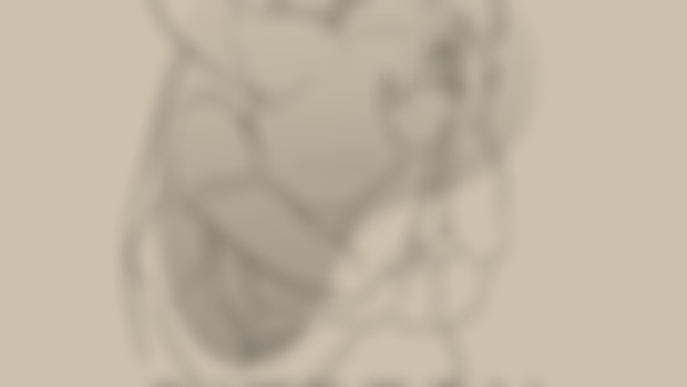 Pose references (patrons)