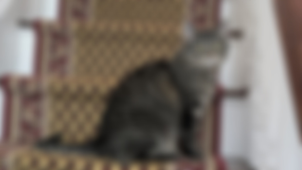 Secret Cleo! – (last post about patreon billing i swear)