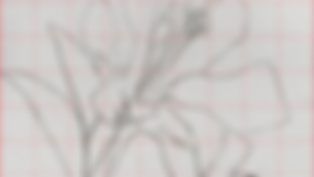Outline Grid Reference - Realistic Lily Flower Drawing!