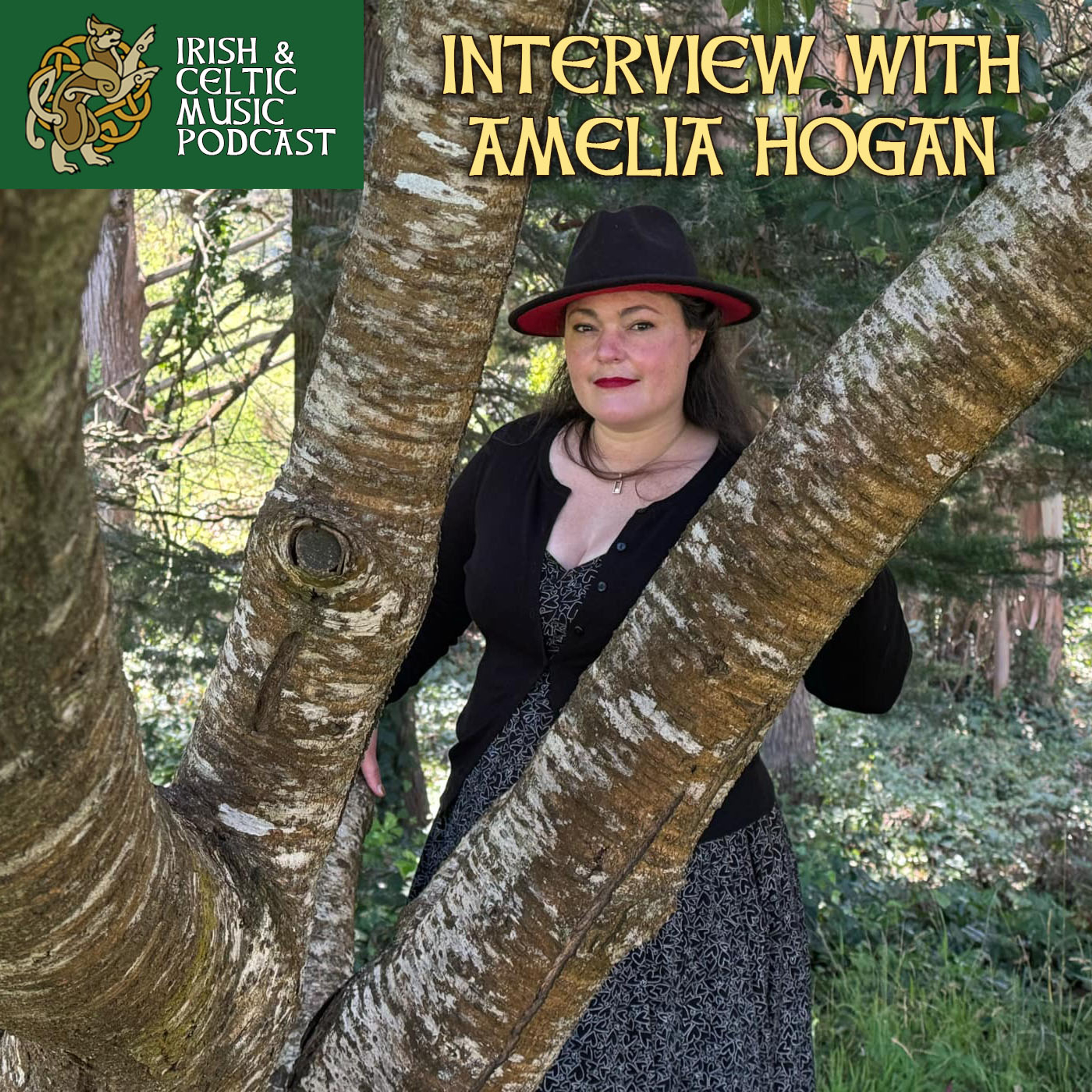 Irish & Celtic Music Interviews